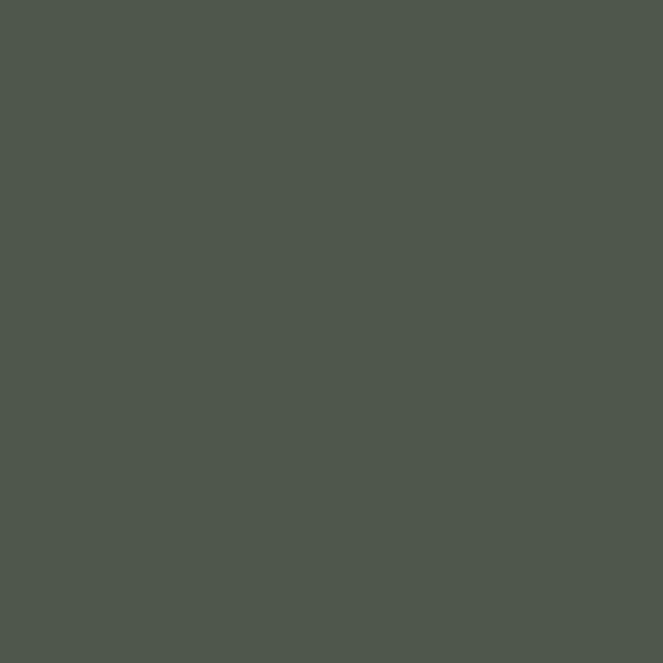 CAROLINA PINES WM17CC 149-6-Wallmaster Paint Sample Pot