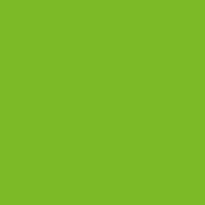 JOYFUL GREEN WM17CC 069-6-Wallmaster Paint Sample Pot