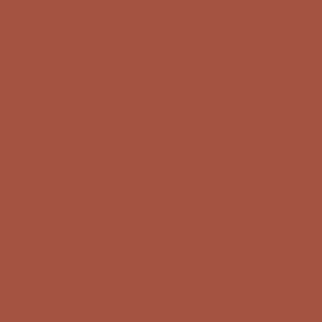 RED CLAY TILE WM17CC 179-6-Wallmaster Paint Sample Pot