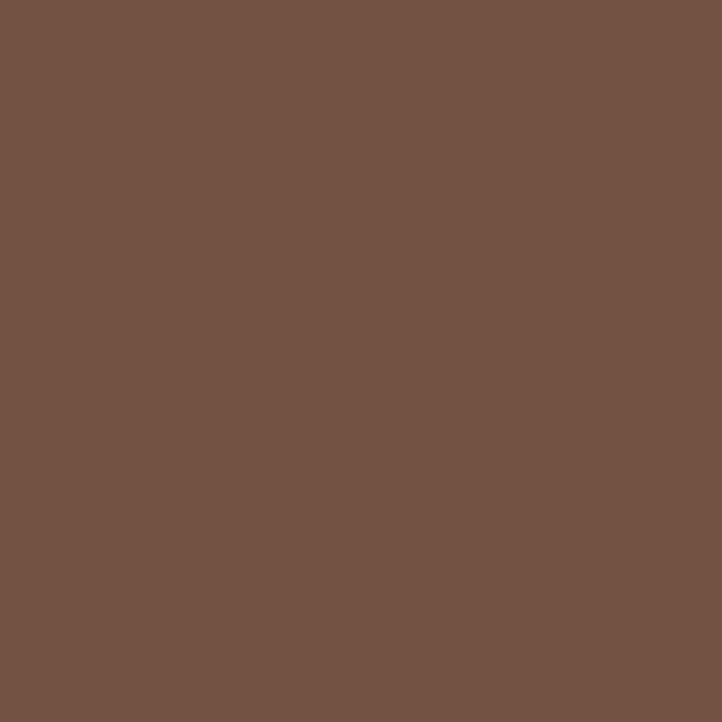SADDLEBAG BROWN WM17CC 178-6-Wallmaster Paint Sample Pot