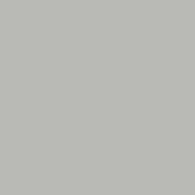 SPLINTER OF SILVER WM17CC 141-3-Wallmaster Paint Sample Pot