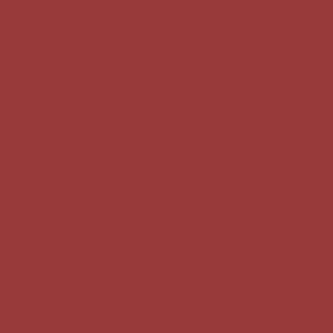 TANGO RED WM17CC 188-6-Wallmaster Paint Sample Pot
