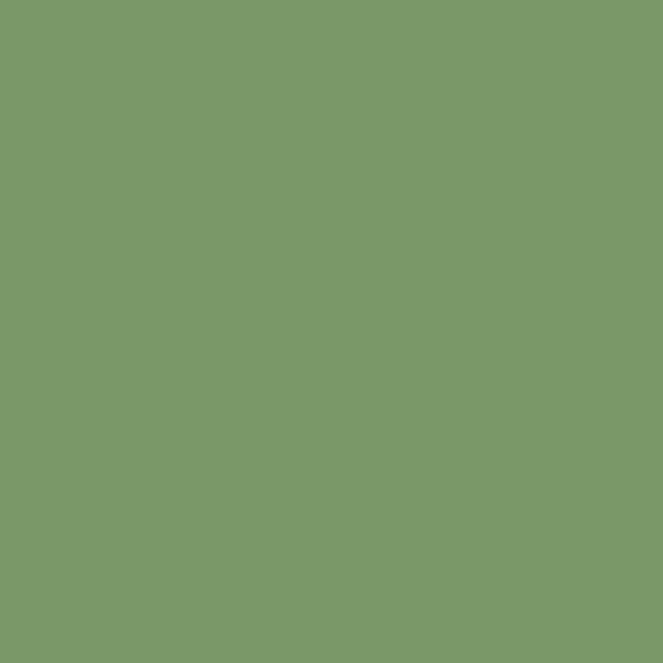 VEGGIE GREEN WM17CC 066-5-Wallmaster Paint Sample Pot